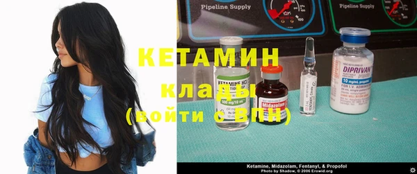 сатива Горняк