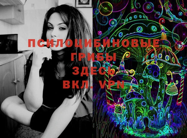 сатива Горняк