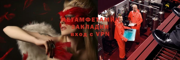 сатива Горняк