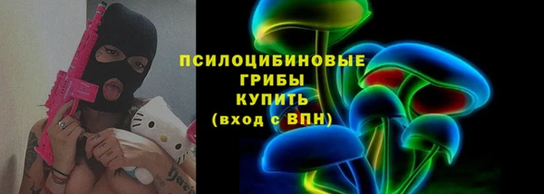 сатива Горняк