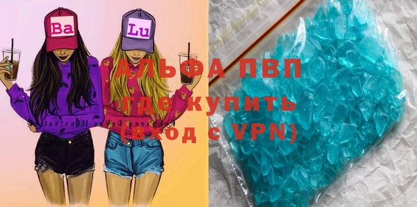 сатива Горняк