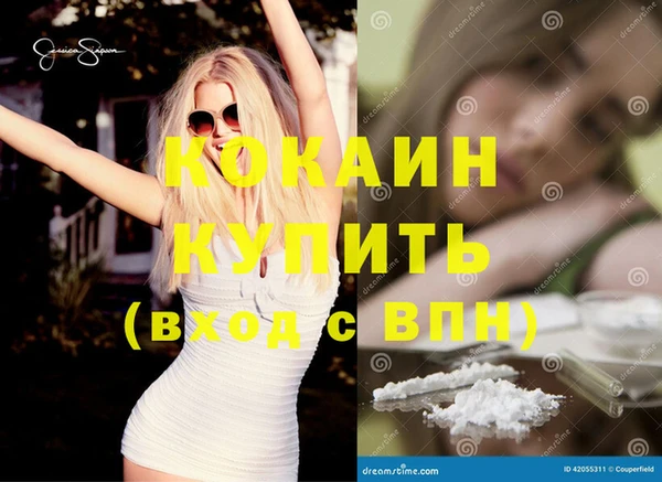 сатива Горняк