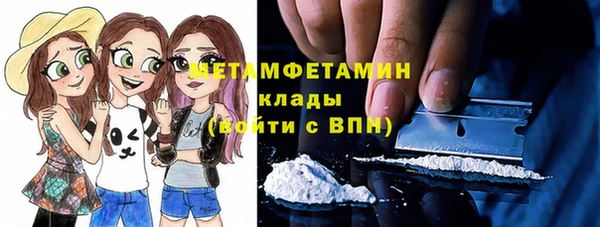 сатива Горняк