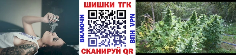 купить наркоту  Нижний Тагил  OMG зеркало  Бошки марихуана ГИДРОПОН 